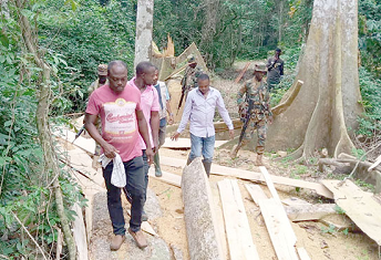 loggers