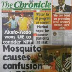 Newspapers (12)