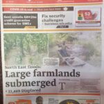 Newspapers (12)