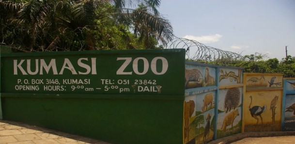 Science Zoo Renovation