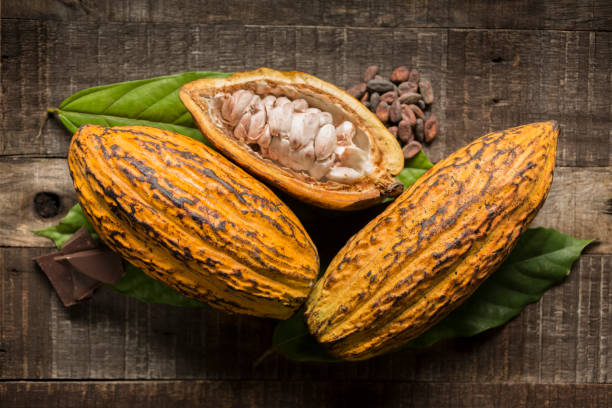 cocoa