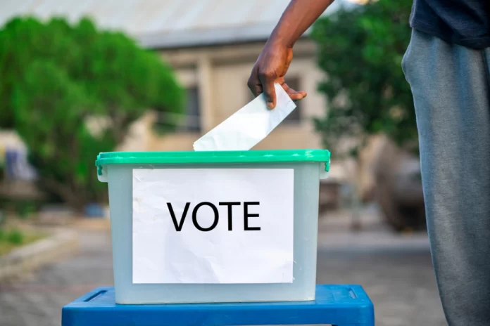 2024 elections
