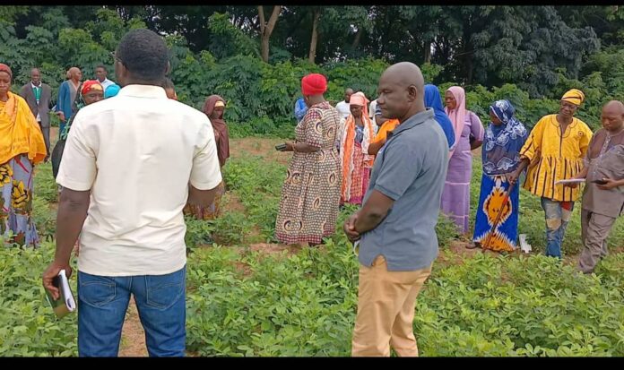 Economic Field Demonstration 2