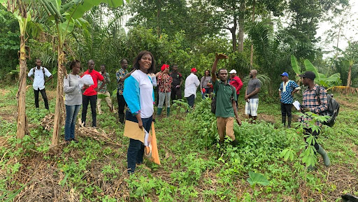 Government to adopt climate-smart agriculture to enhance food security