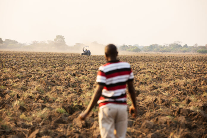 The African Development Bank's financial support for Zambia aims to increase private sector participation in the economy, with a particular emphasis on agro-industrial development and climate-smart investments