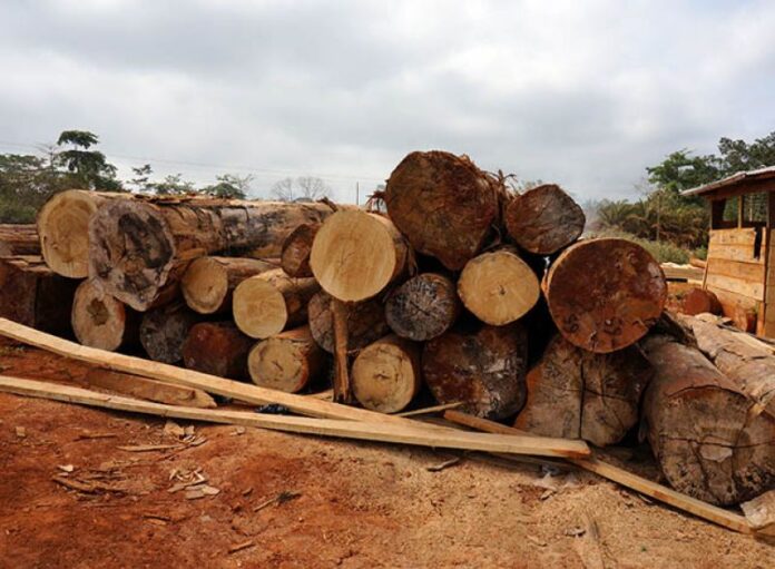 timber