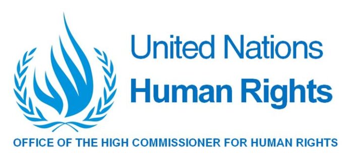 UN High Commissioner for Human Rights (OHCHR)