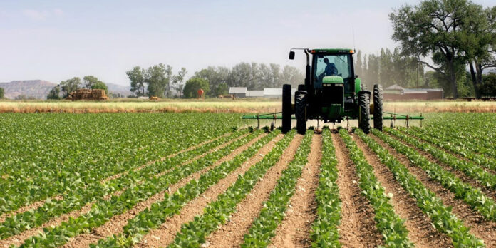 2025 budget - Government urged to prioritise renewable energy for agric-led economy